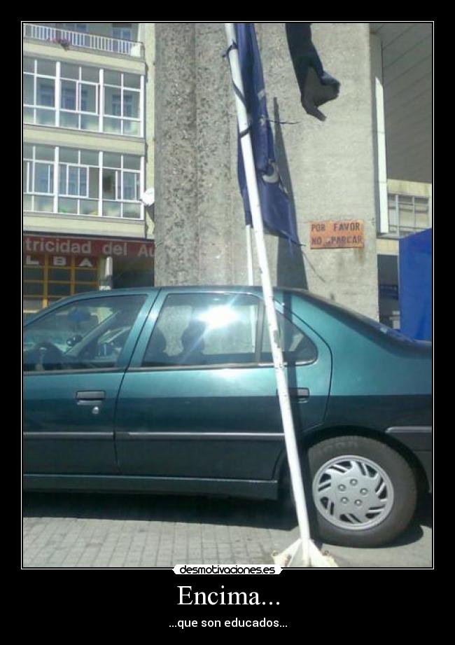 Encima... - ...que son educados...