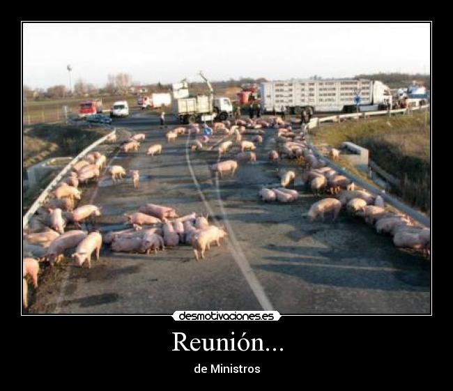 Reunión... - 