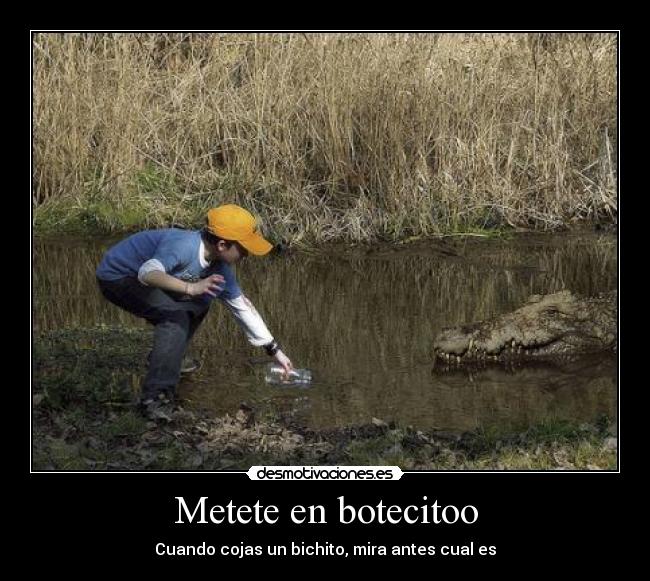 Metete en botecitoo -