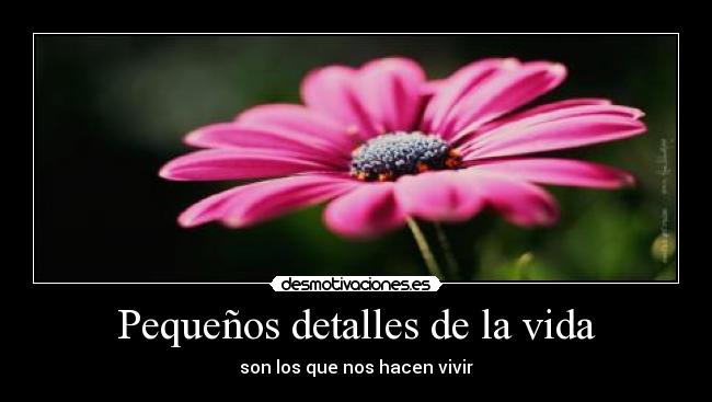 Pequeños detalles de la vida - son los que nos hacen vivir