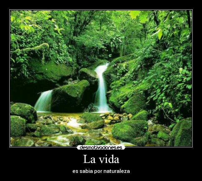La vida - 