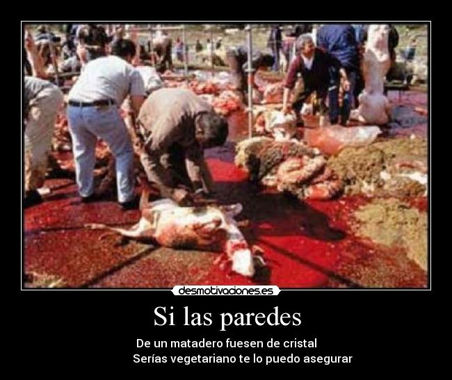 Si las paredes - De un matadero fuesen de cristal
Serías vegetariano te lo puedo asegurar