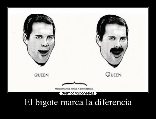El bigote marca la diferencia - 