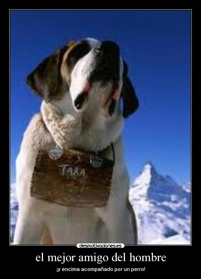 el mejor amigo del hombre - 