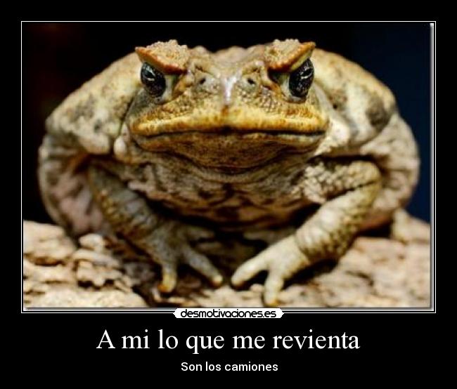 A mi lo que me revienta - Son los camiones