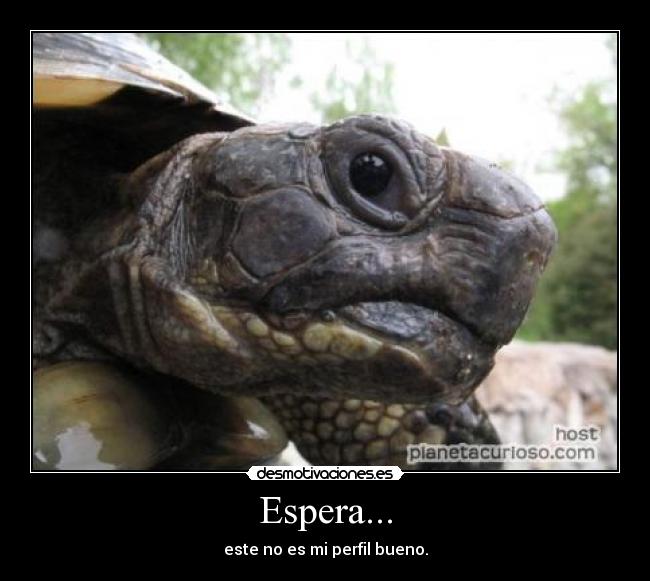 Espera... - este no es mi perfil bueno.