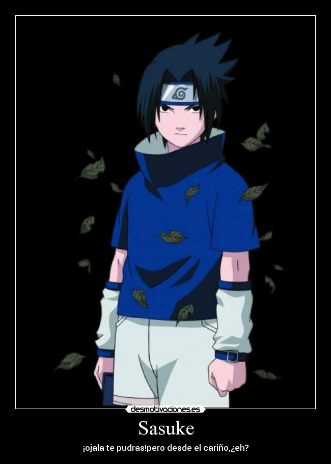 carteles saritisisima desmotivaciones