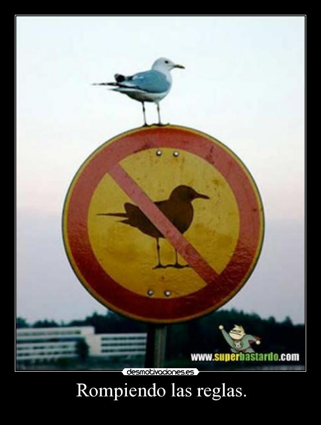 Rompiendo las reglas. -