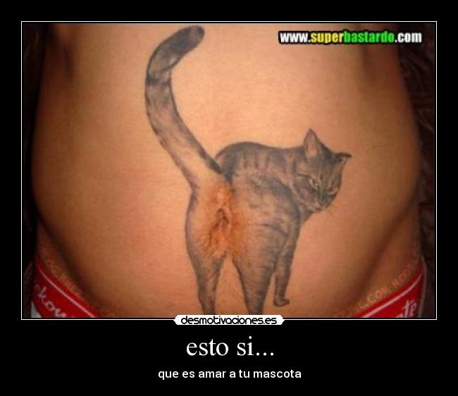 esto si... - que es amar a tu mascota