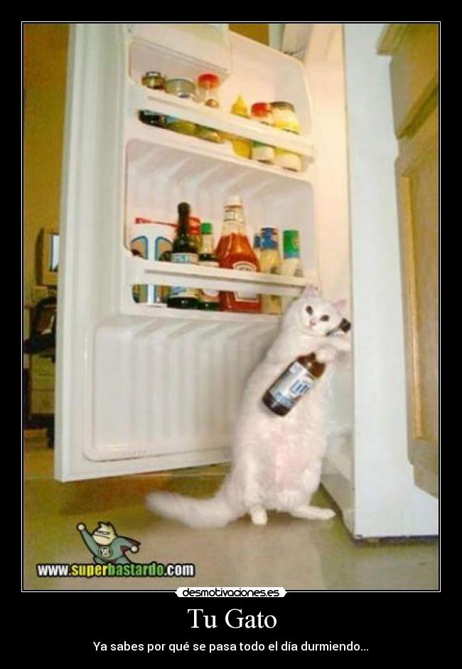 Tu Gato - 