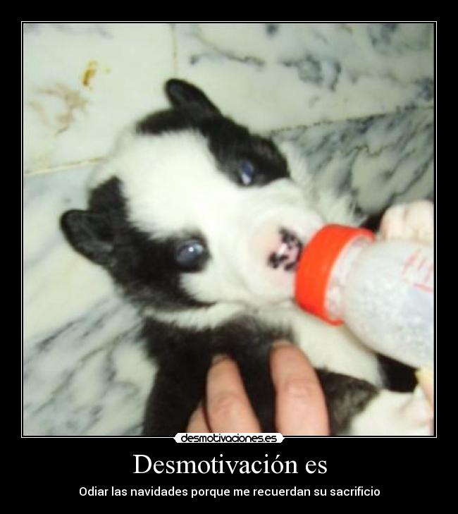 Desmotivación es - Odiar las navidades porque me recuerdan su sacrificio