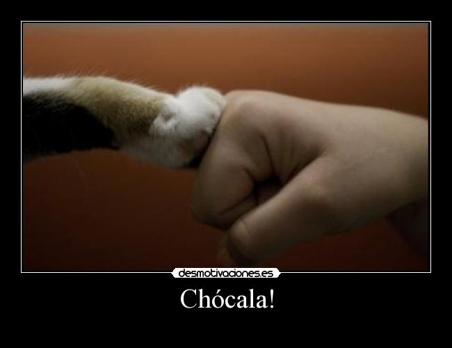Chócala! -