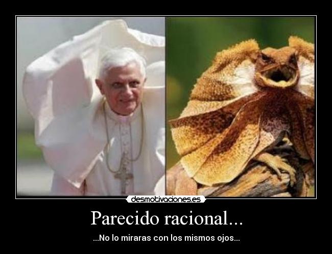 Parecido racional... - 