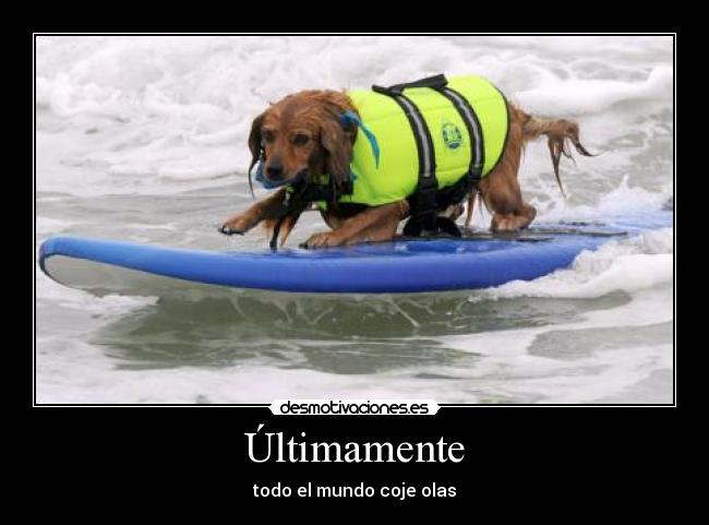 Últimamente - todo el mundo coje olas