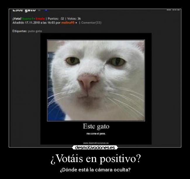 ¿Votáis en positivo? -