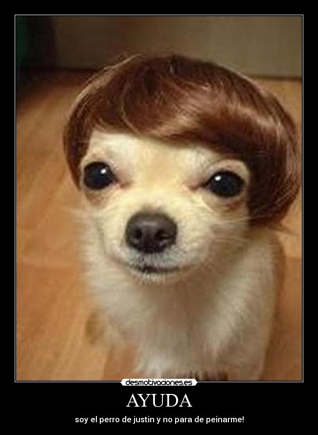 carteles ayuda jajaja desmotivaciones