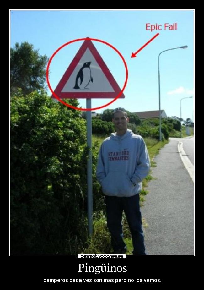 carteles pinuinos desmotivaciones