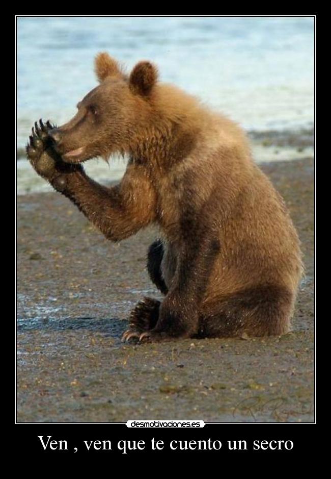 Ven , ven que te cuento un secro - 