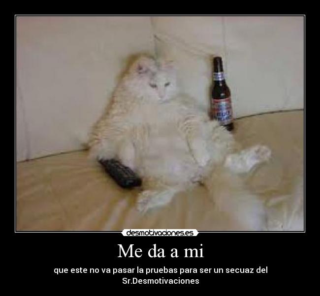 Me da a mi - que este no va pasar la pruebas para ser un secuaz del Sr.Desmotivaciones