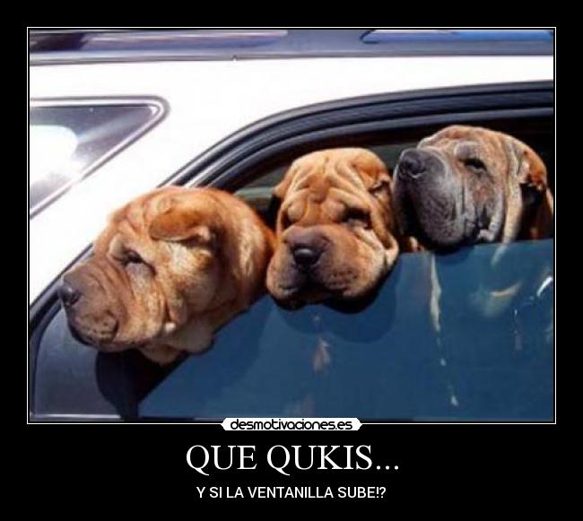 QUE QUKIS... - Y SI LA VENTANILLA SUBE!?