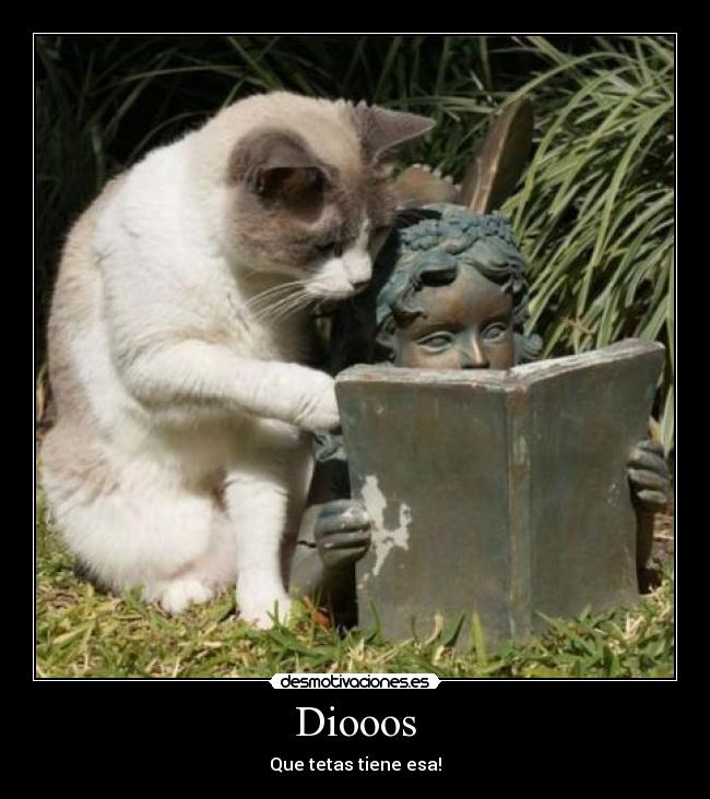 Diooos - Que tetas tiene esa!