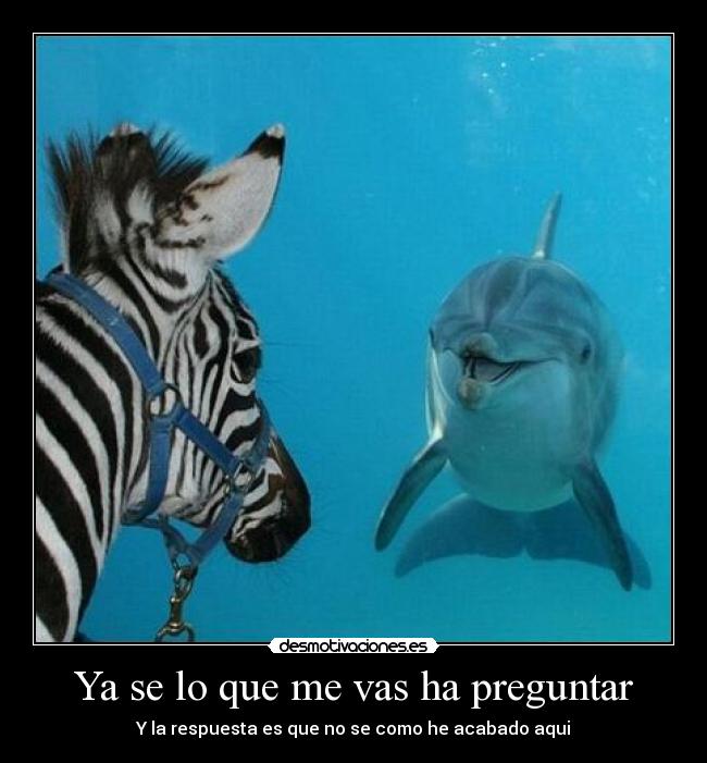 Ya se lo que me vas ha preguntar - Y la respuesta es que no se como he acabado aqui