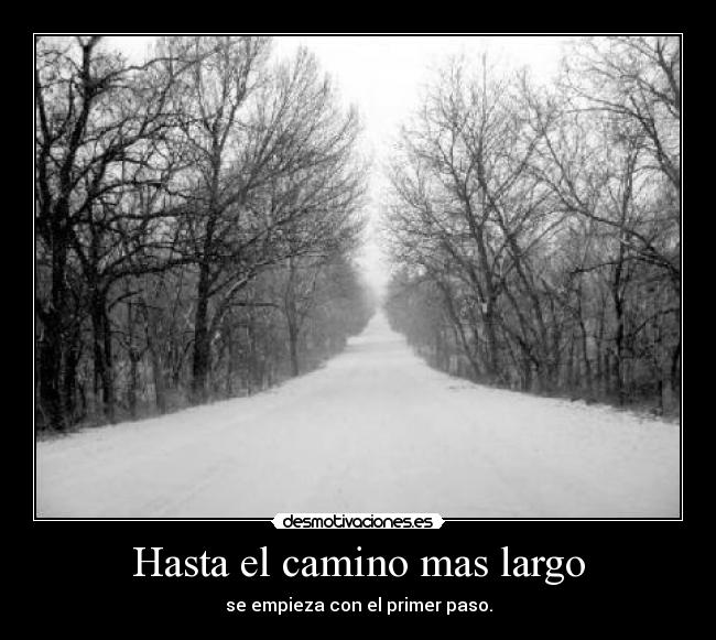 carteles camino desmotivaciones