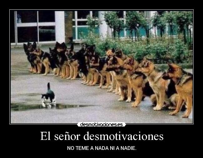carteles desmotivaciones mihaidoc desmotivaciones
