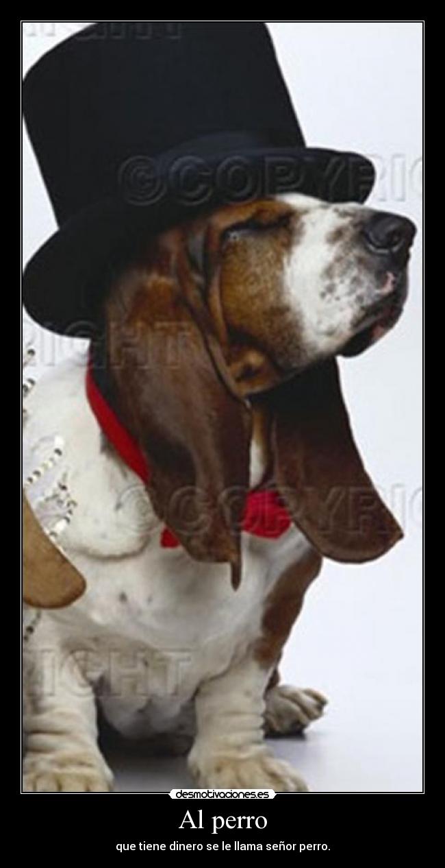 Al perro - que tiene dinero se le llama señor perro.