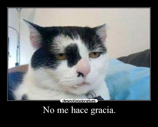 No me hace gracia. - 