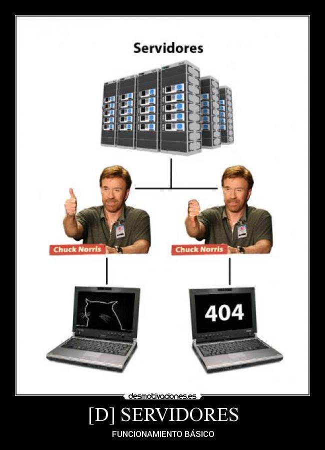 [D] SERVIDORES - FUNCIONAMIENTO BÁSICO
