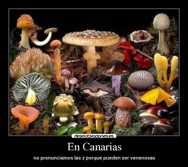 En Canarias - 