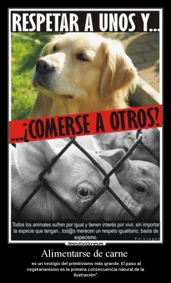 Alimentarse de carne - es un vestigio del primitivismo más grande. El paso al
vegetarianismo es la primera consecuencia natural de la
ilustración”.