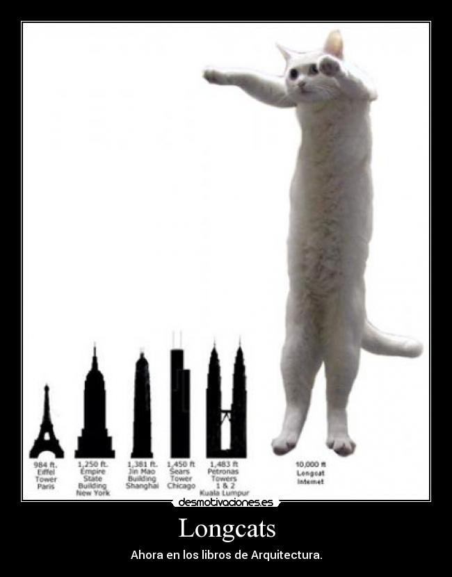 Longcats - 