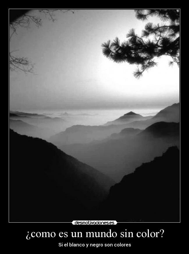 ¿como es un mundo sin color? - 