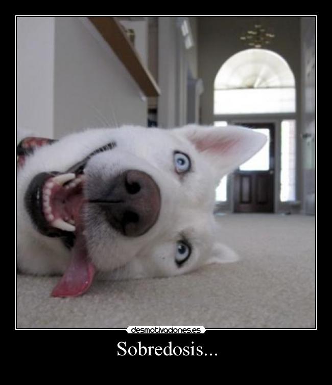 Sobredosis... -