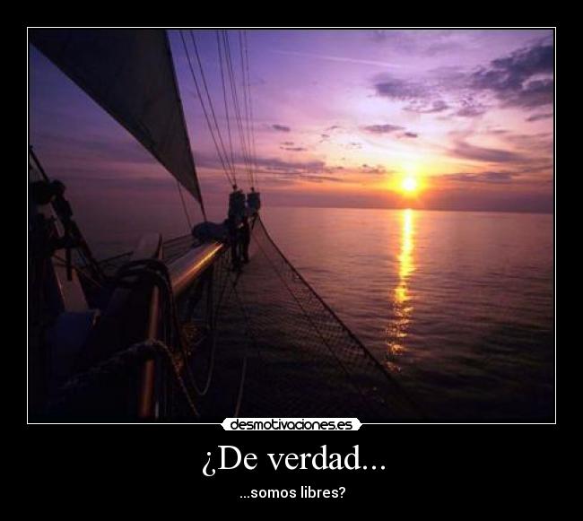 ¿De verdad... - ...somos libres?