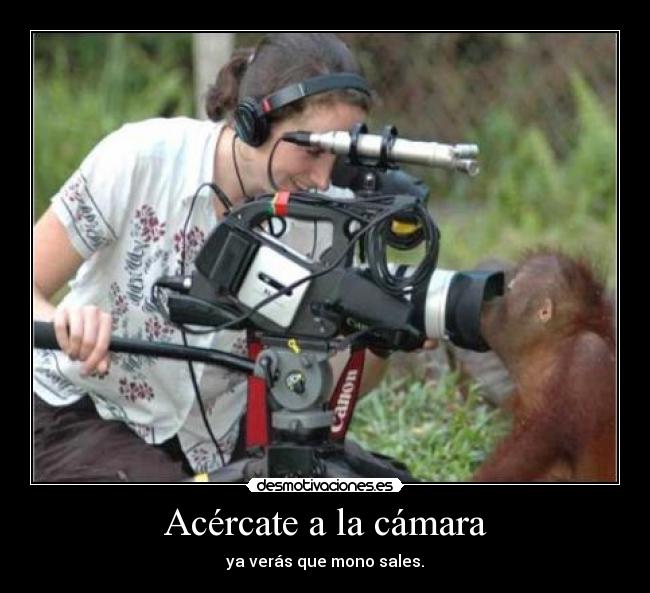 Acércate a la cámara - ya verás que mono sales.