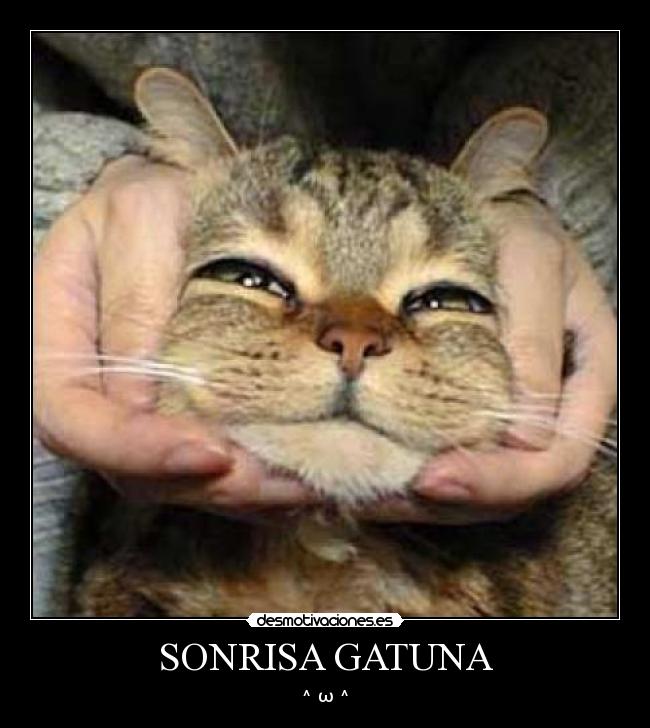 SONRISA GATUNA -