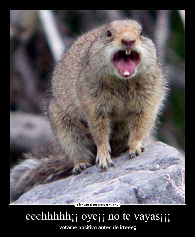 eeehhhhh¡¡ oye¡¡ no te vayas¡¡¡ - votame positivo antes de irteee¡¡