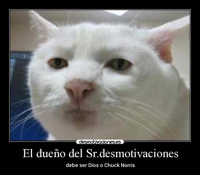 El dueño del Sr.desmotivaciones - debe ser Dios o Chuck Norris