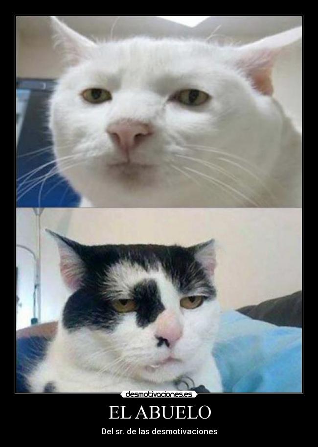 carteles abuelo sr desmotivaciones desmotivaciones