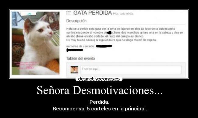 Señora Desmotivaciones... - 