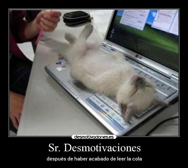 Sr. Desmotivaciones - 