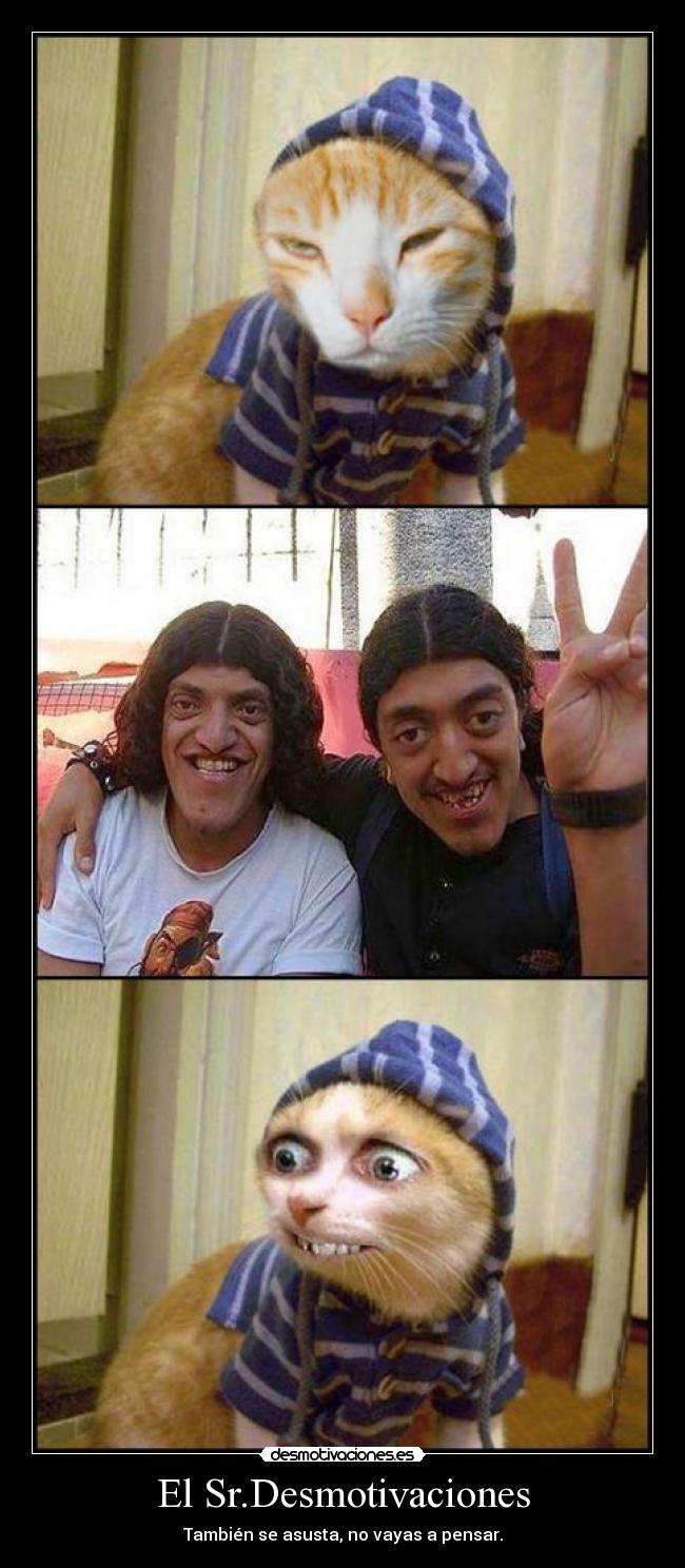 El Sr.Desmotivaciones - También se asusta, no vayas a pensar.