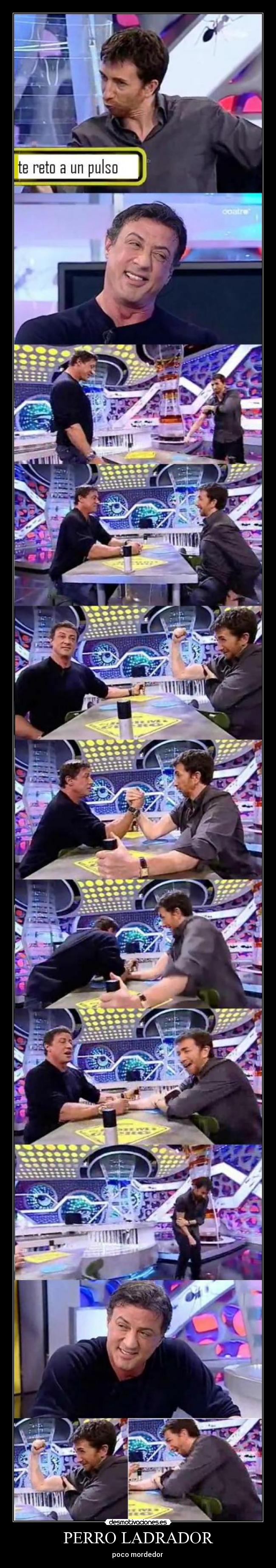 PERRO LADRADOR - poco mordedor 