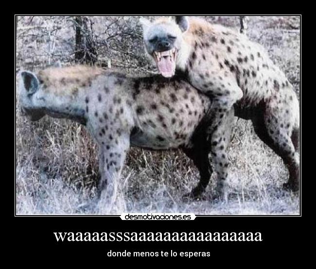 waaaaasssaaaaaaaaaaaaaaaa - 