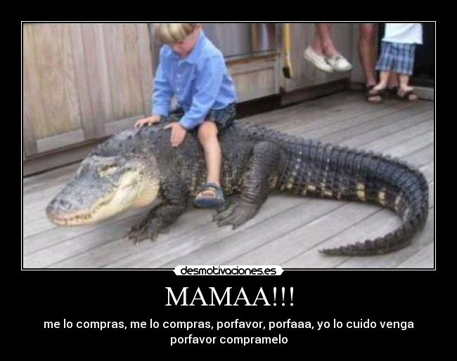 carteles cocodrilos humor ninos pesados desmotivaciones