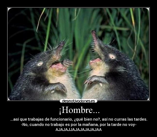 ¡Hombre... - 