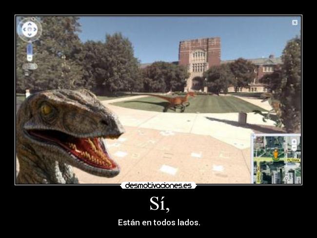 Sí, - Están en todos lados.